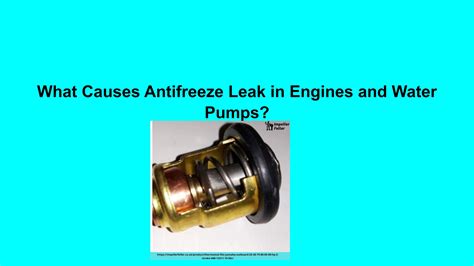 what causes an antifreeze leak